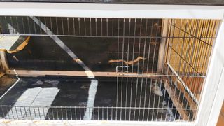 Jaula para conejos de madera