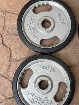 Pareja discos Panatta 2x15 kg