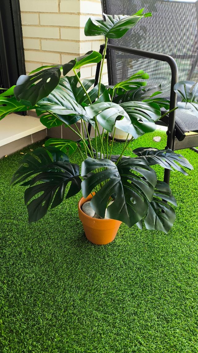 Oferta Black friday. Planta Artificial Nueva