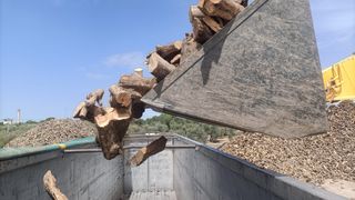 Leña de olivo para barbacoa