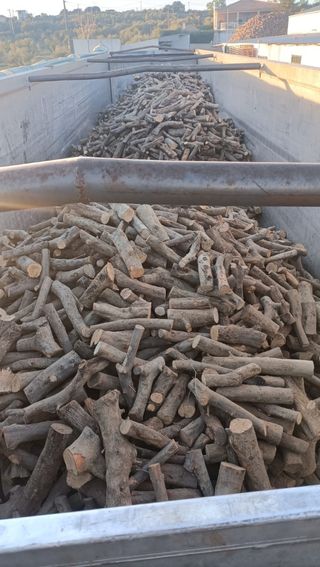 Leña de olivo para barbacoa