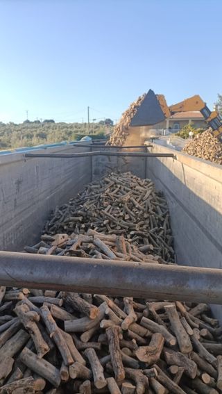 Leña de olivo para barbacoa