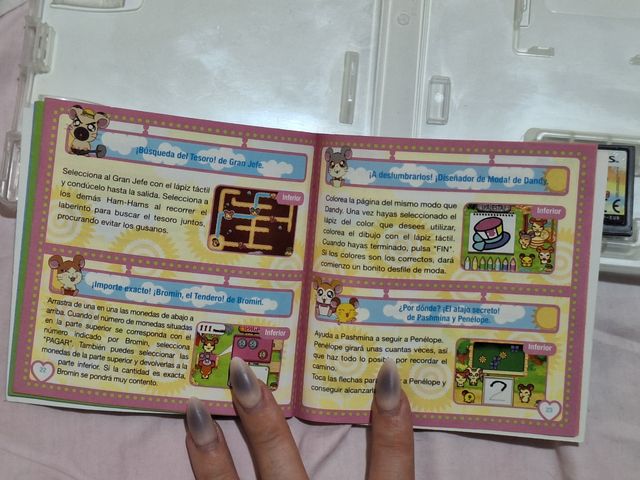 Hamtaro Ham-Ham Training Nintendo DS