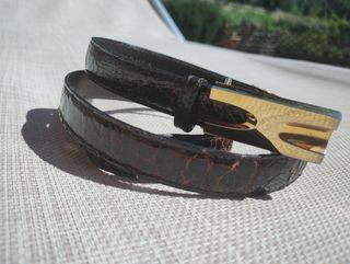 Cintura Tartaruga marrone con fibbia dorata