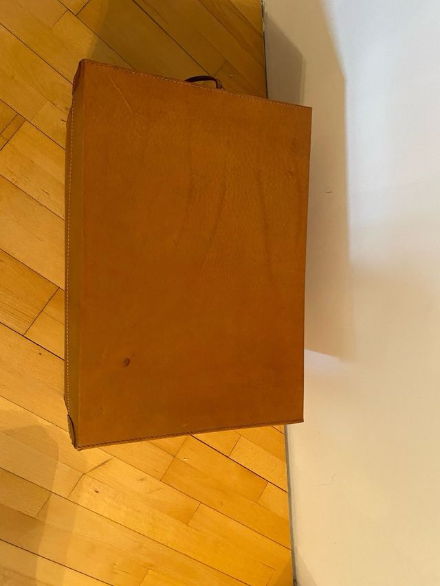 Par de baúles de cuero marrones