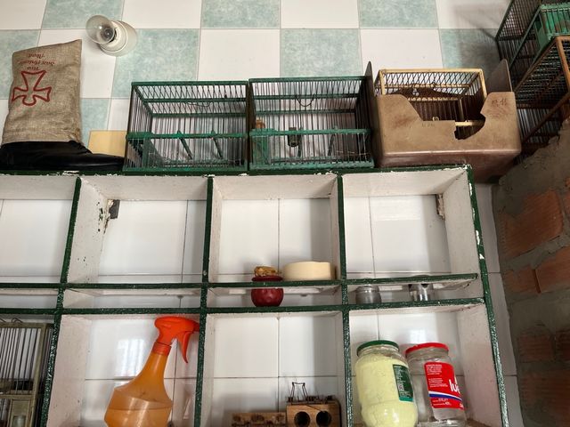 Jaulas para pájaros