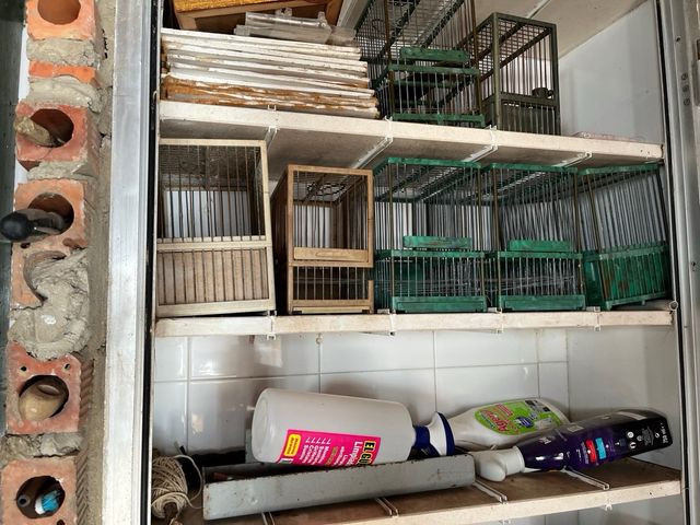 Jaulas para pájaros