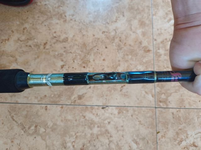 Caña fenwick de curricán profesional