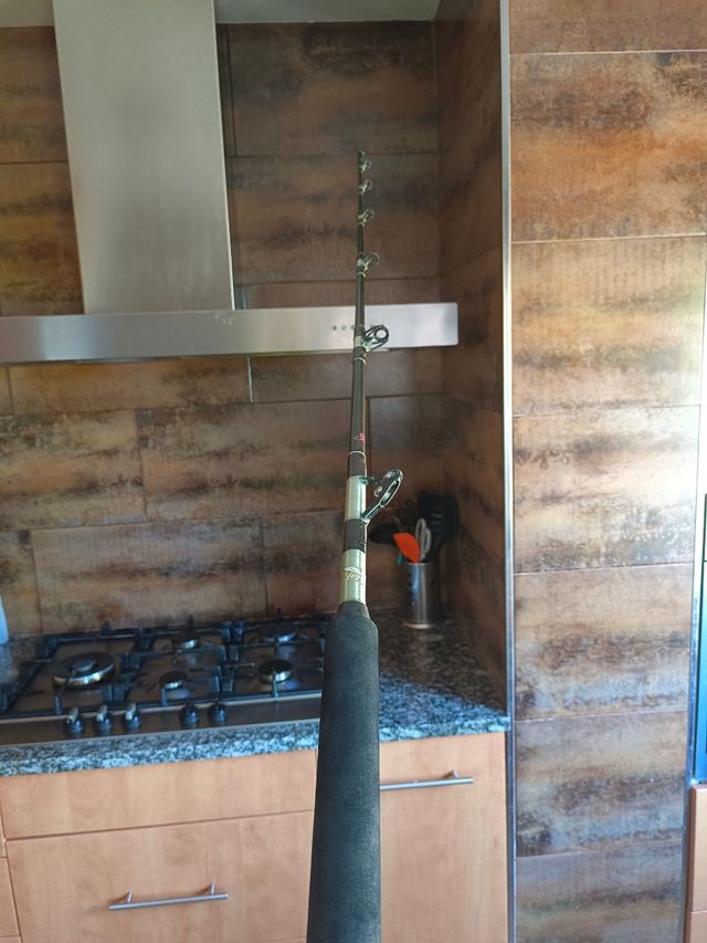 Caña fenwick de curricán profesional