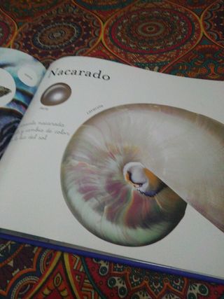 Los colores en la naturaleza (Spanish Edition)