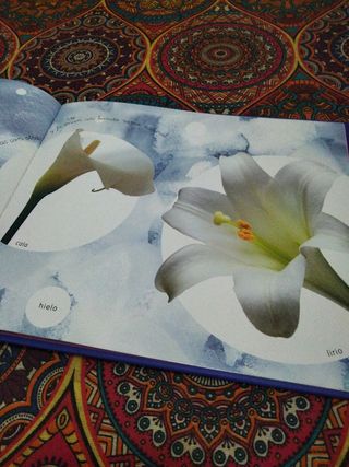 Los colores en la naturaleza (Spanish Edition)