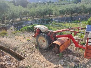 Tractor Pascuali Mecánico