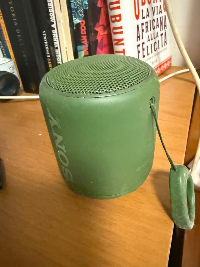 Altoparlante Sony Verde