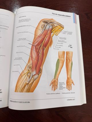Atlas de Anatomia Humana (Spanish Edition)