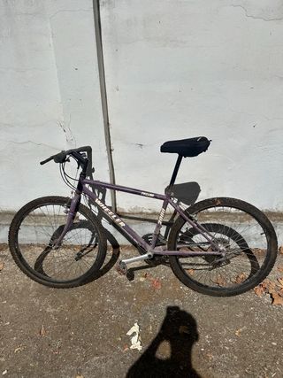 Bicicleta Wheeler Proline 2000 Morada
