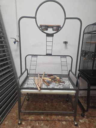 Jaula para loro negra más percha voladora.