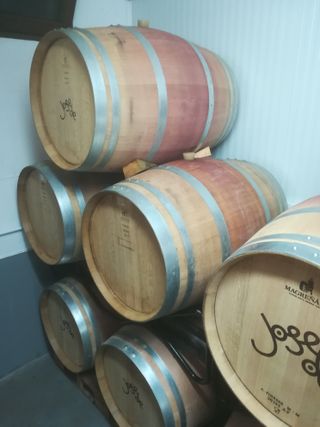 Barricas Bordelesas Roble Francés 225 L