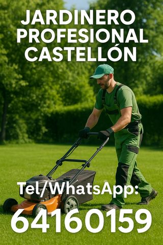 Jardinero profesional en Castellón y alrededores.
