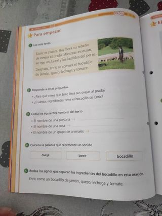 Lengua castellana y literatura 2º primaria LA L...