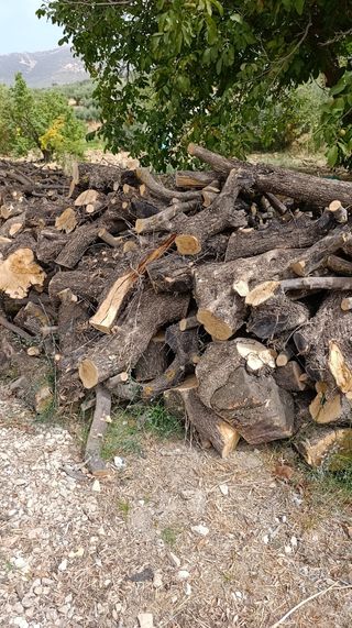 Leña de calidad para vender