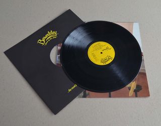 THE RUBINOOS "THE RUBINOOS" (LP VINILO)