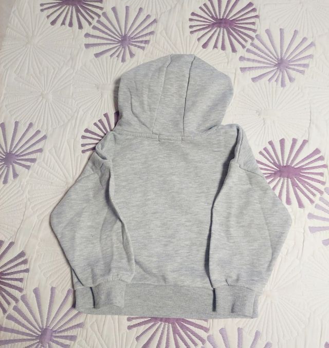 Conjunto niña Zara: Sudadera y camiseta