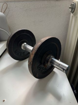 Mancuerna 10.5kg con discos