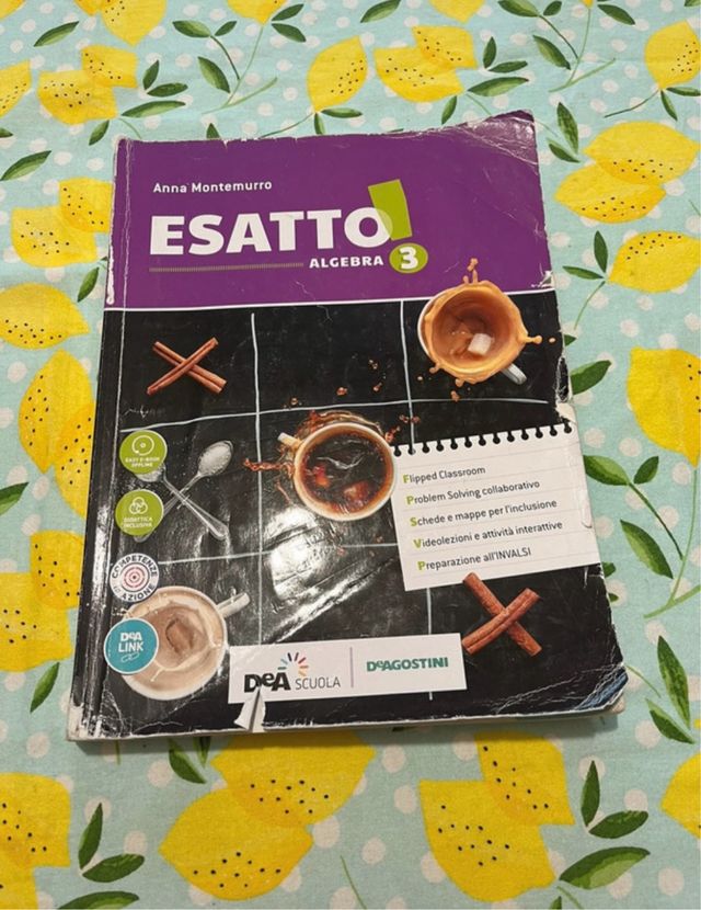 Esatto! Con quaderno operativo e prontuario. Ed...