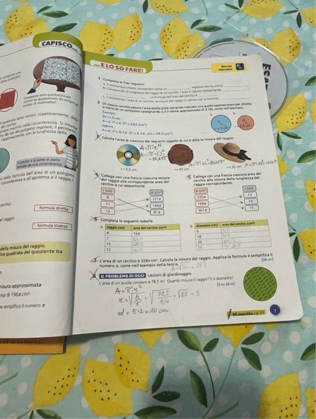 Esatto! Con quaderno operativo e prontuario. Ed...