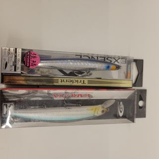 Señuelos de pesca para lubina/depredador