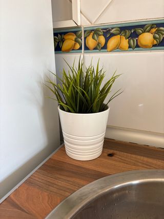 Planta decorativa artificial