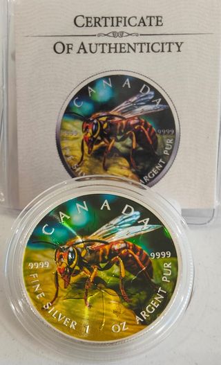 Moneda Plata 1 Oz Canadá Avispa