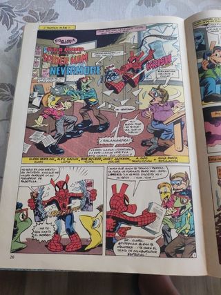 Spiderman en Marvel héroes