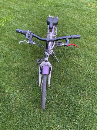 Bicicleta Topbike Morada