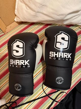 Guantes de Boxeo Shark Negros 16oz