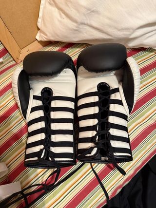 Guantes de Boxeo Shark Negros 16oz