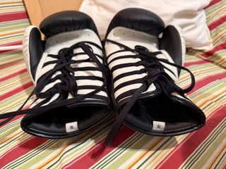 Guantes de Boxeo Shark Negros 16oz