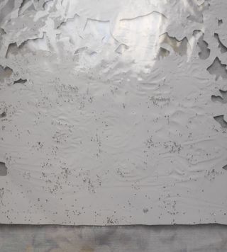 Lámina cromos troquelados flores barco