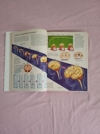 Enciclopedia ilustrada de ciencia y naturaleza.