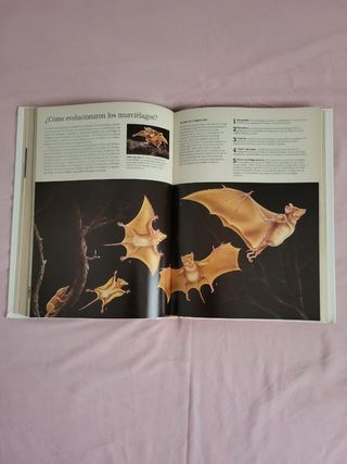 Enciclopedia ilustrada de ciencia y naturaleza.