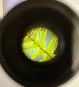 Antiguo Microscopio de Latón 1830