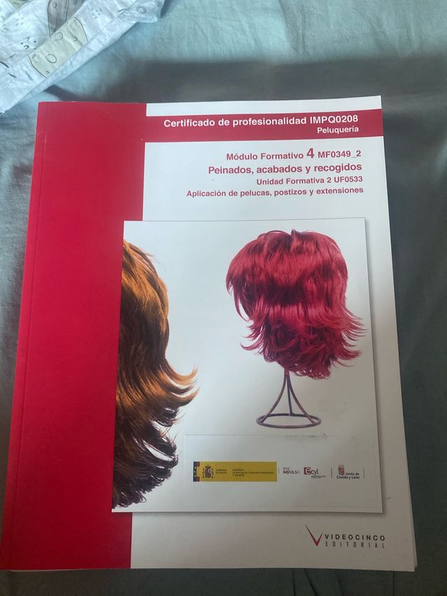 UF0533: Aplicación de pelucas, postizos y exten...