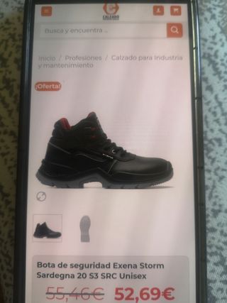 Zapatos botas de seguridad