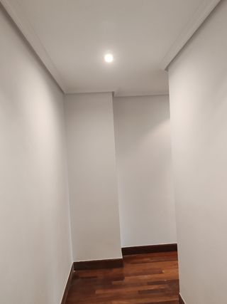 PINTOR  IRÚN Y FRANCIA