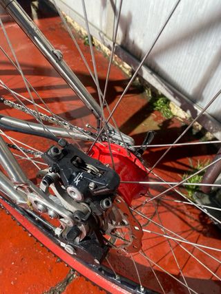 Bicicleta btt Titanio 29er, cambio Rolhoff 14 v