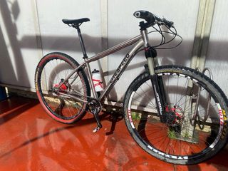 Bicicleta btt Titanio 29er, cambio Rolhoff 14 v