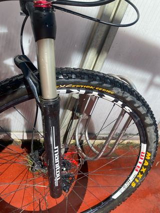 Bicicleta btt Titanio 29er, cambio Rolhoff 14 v
