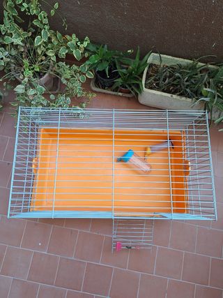 Jaula para conejo naranja