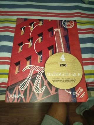 Lote de libros Matemáticas B 4