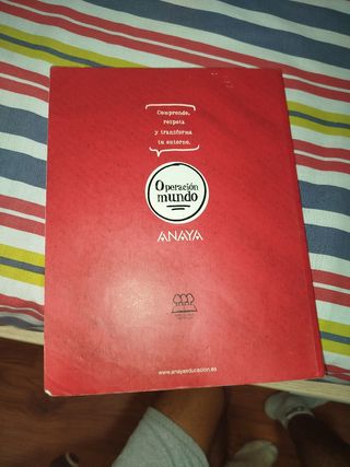 Lote de libros Matemáticas B 4